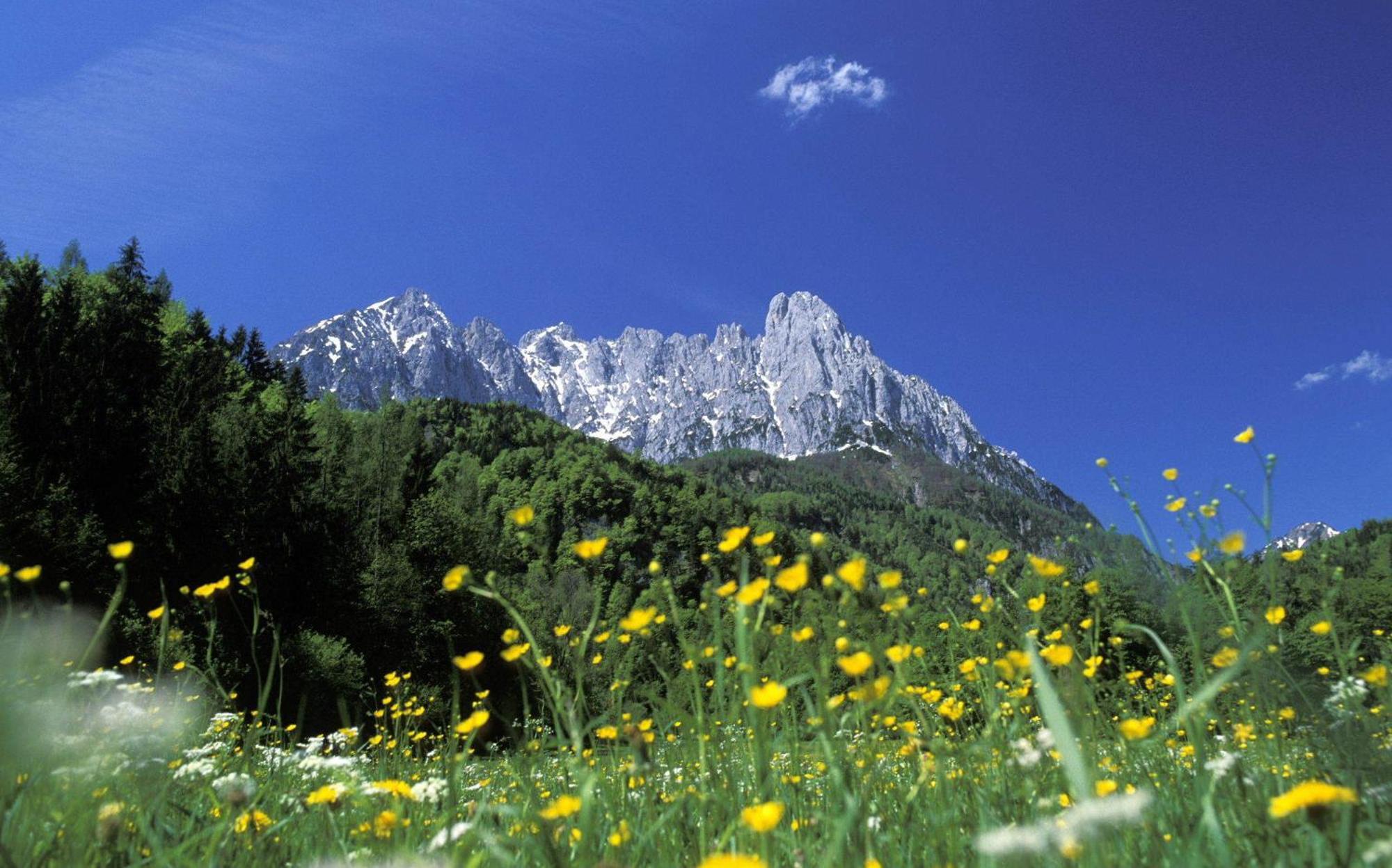 Landhaus Foidl Sankt Johann in Tirol Dış mekan fotoğraf